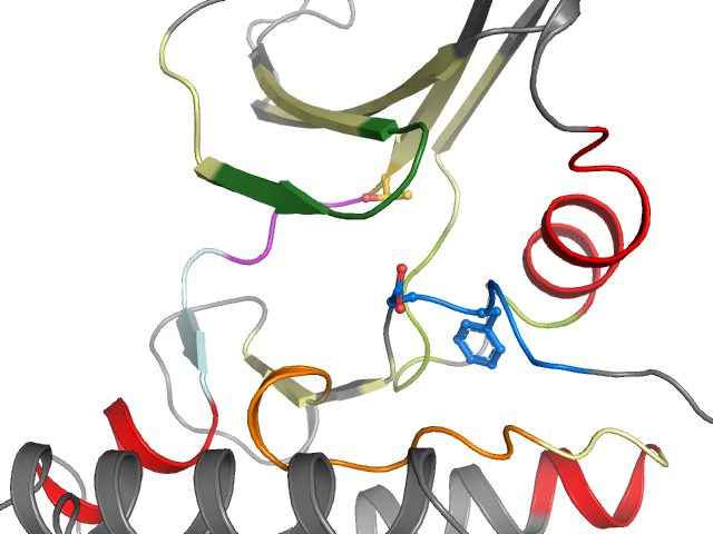 The orthosteric binding pocket