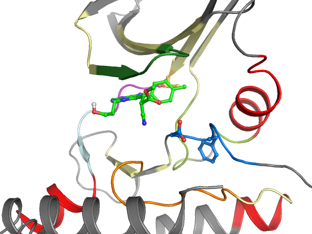 The orthosteric binding pocket
