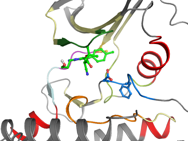 The orthosteric binding pocket