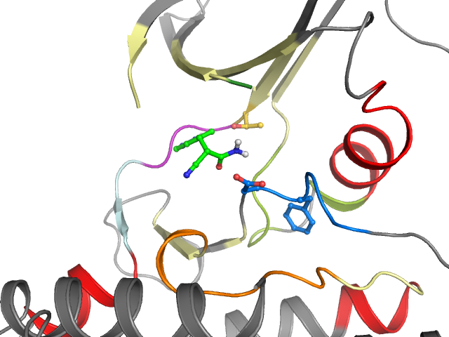 The orthosteric binding pocket