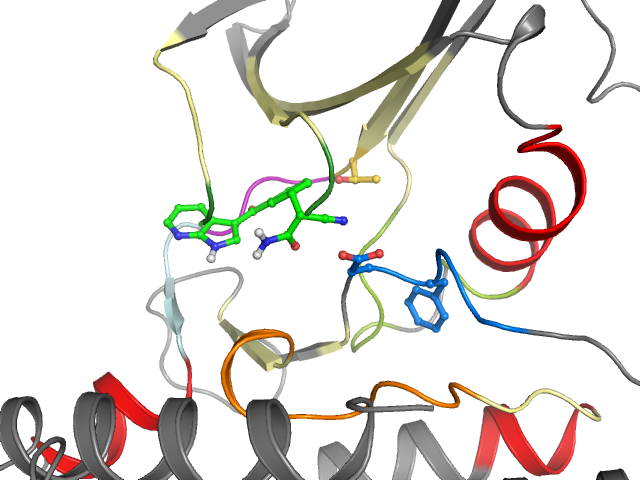 The orthosteric binding pocket