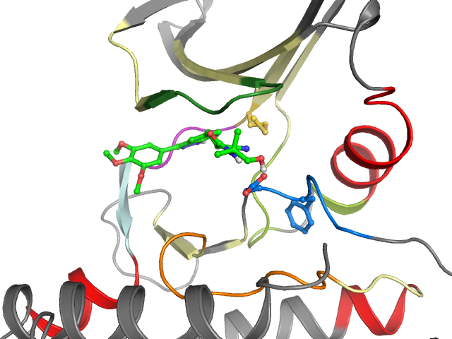 The orthosteric binding pocket