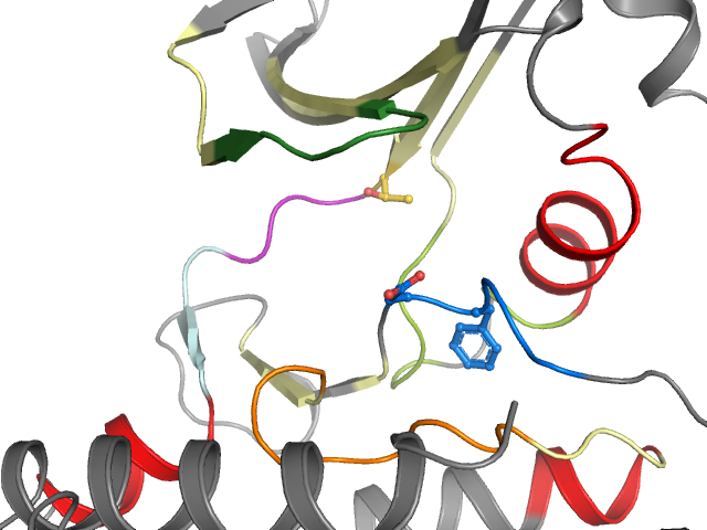The orthosteric binding pocket