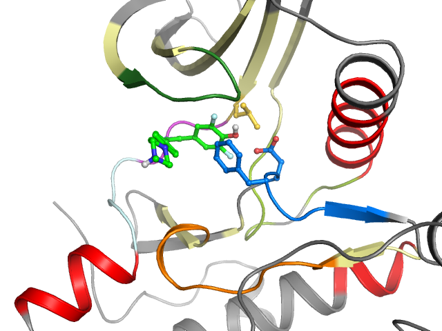 The orthosteric binding pocket