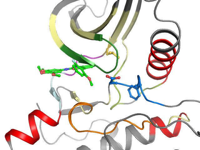 The orthosteric binding pocket