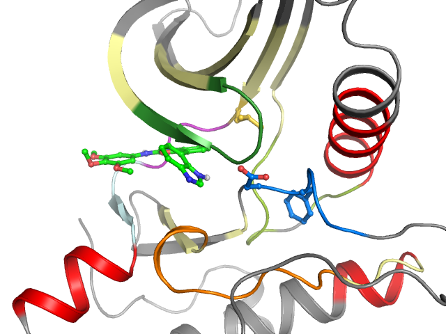 The orthosteric binding pocket