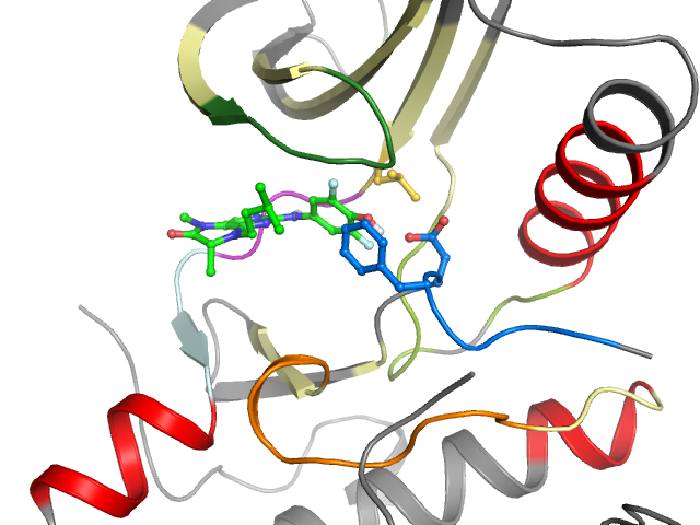 The orthosteric binding pocket
