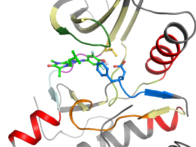 The orthosteric binding pocket