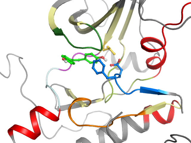The orthosteric binding pocket