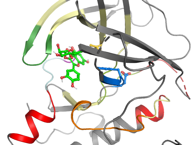 The orthosteric binding pocket