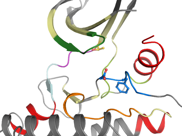 The orthosteric binding pocket