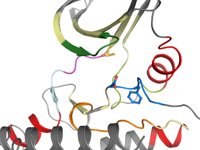 The orthosteric binding pocket