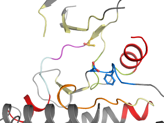 The orthosteric binding pocket