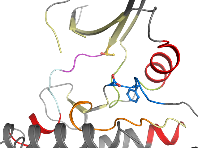 The orthosteric binding pocket