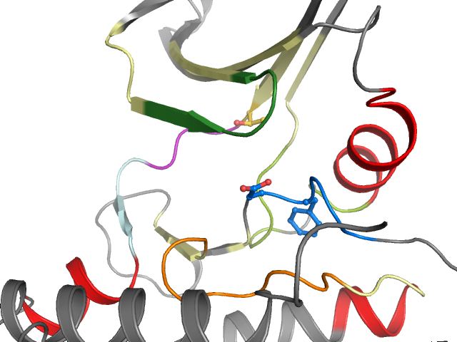 The orthosteric binding pocket