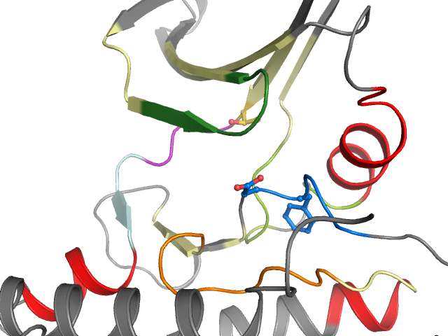 The orthosteric binding pocket