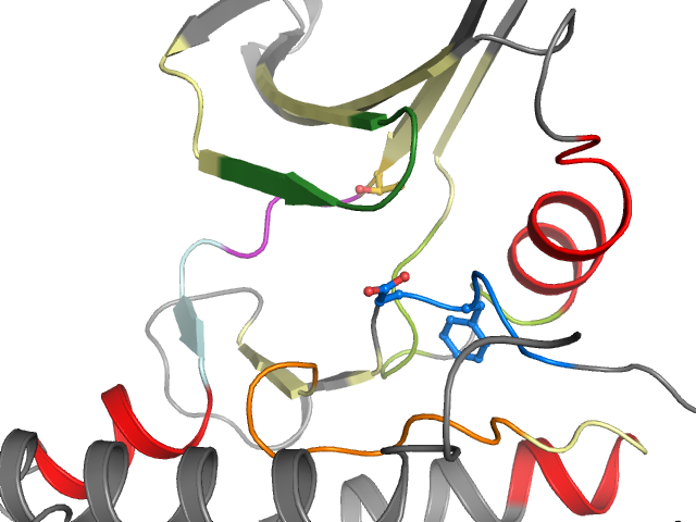 The orthosteric binding pocket