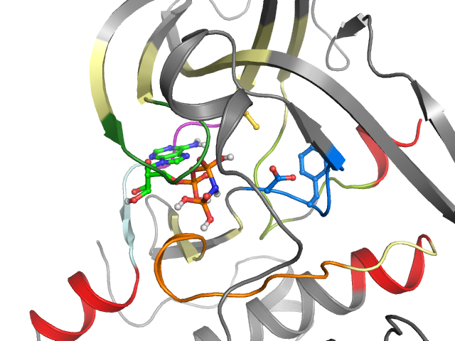 The orthosteric binding pocket