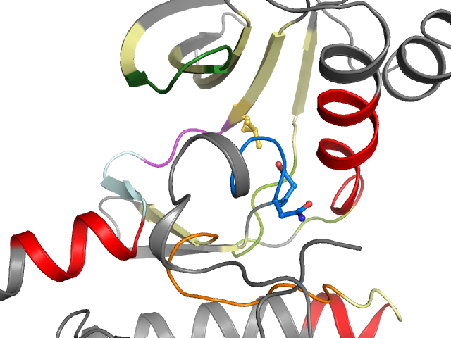 The orthosteric binding pocket