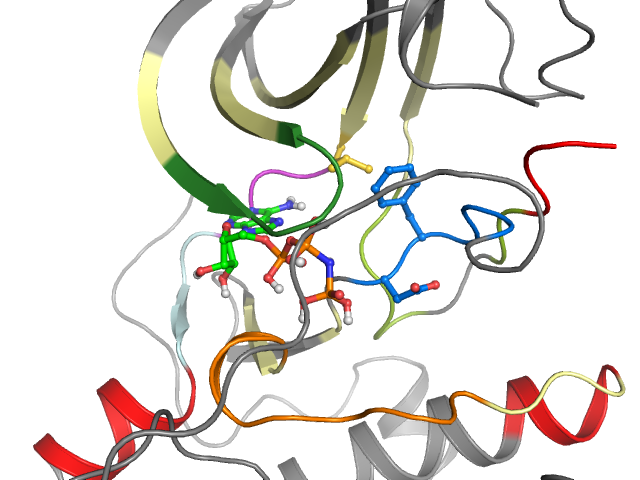 The orthosteric binding pocket