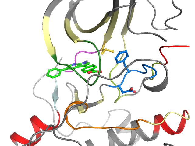 The orthosteric binding pocket