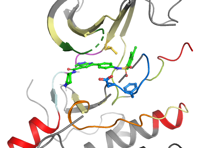 The orthosteric binding pocket