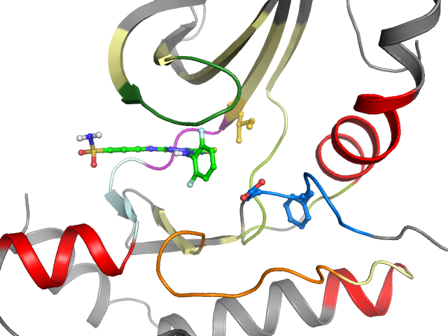 The orthosteric binding pocket