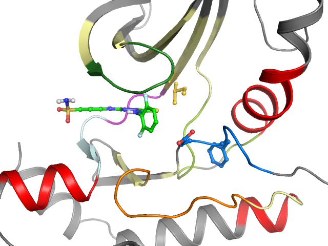 The orthosteric binding pocket