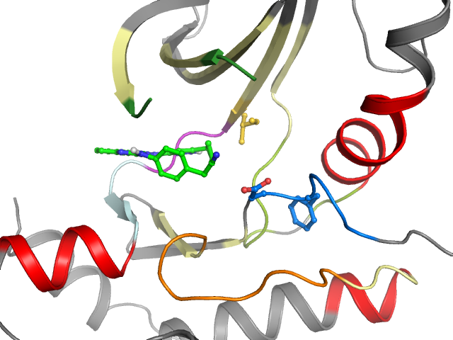 The orthosteric binding pocket