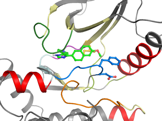 The orthosteric binding pocket