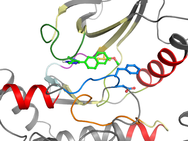 The orthosteric binding pocket