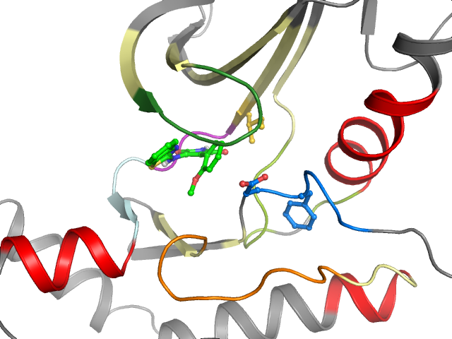 The orthosteric binding pocket