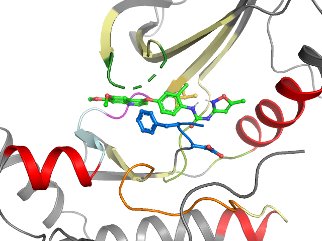 The orthosteric binding pocket