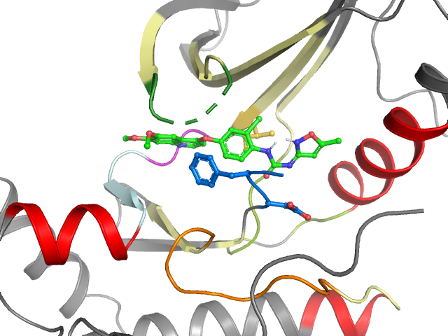 The orthosteric binding pocket