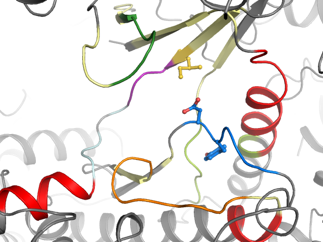 The orthosteric binding pocket