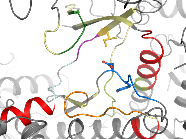 The orthosteric binding pocket