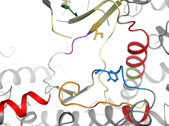 The orthosteric binding pocket