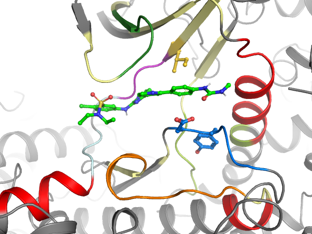 The orthosteric binding pocket