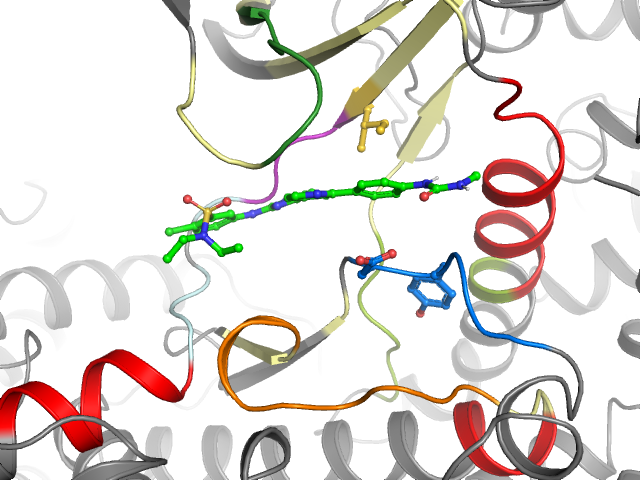 The orthosteric binding pocket