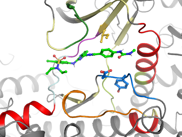 The orthosteric binding pocket