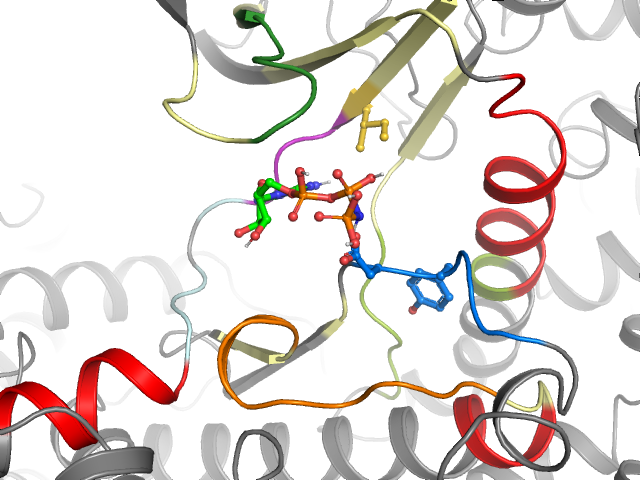 The orthosteric binding pocket