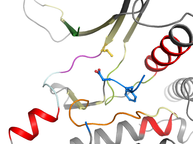 The orthosteric binding pocket