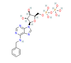 2D structure of the orthosteric ligand