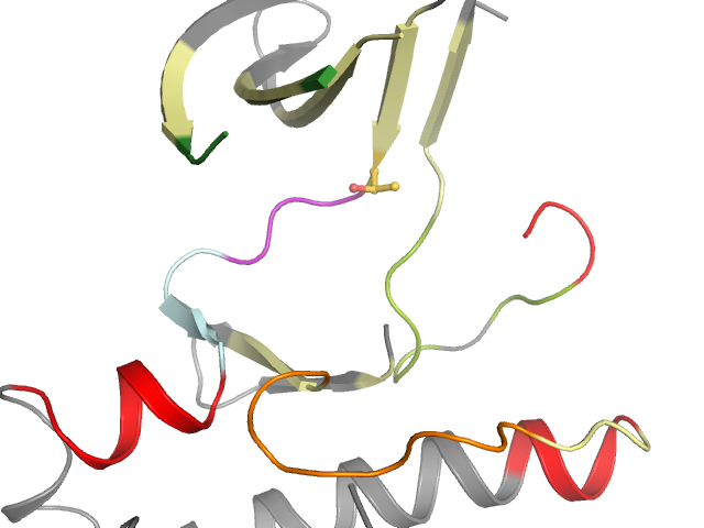 The orthosteric binding pocket