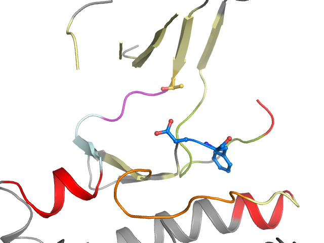 The orthosteric binding pocket