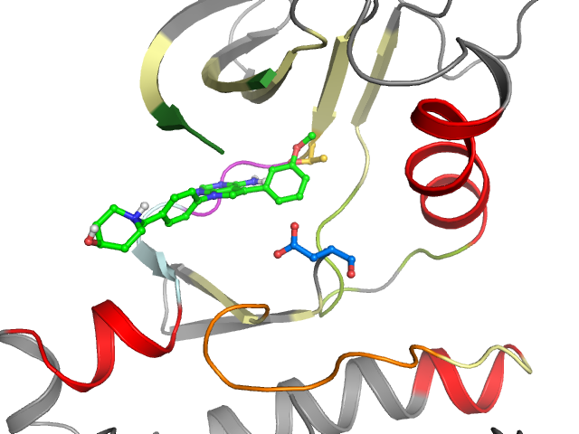 The orthosteric binding pocket