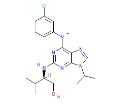 2D structure of the orthosteric ligand