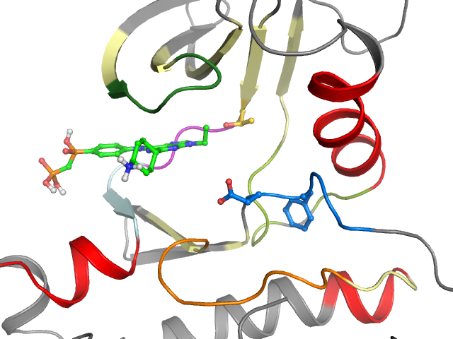 The orthosteric binding pocket