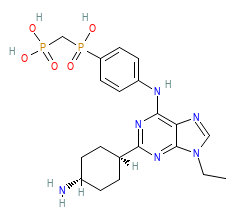 2D structure of the orthosteric ligand