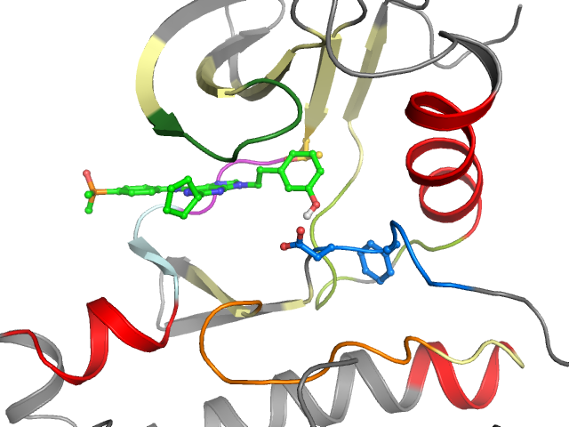 The orthosteric binding pocket